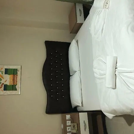 Otel Ahsen 3*